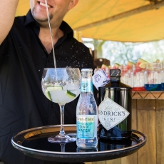 Choosing a Dry or Wet Bar at my Wedding